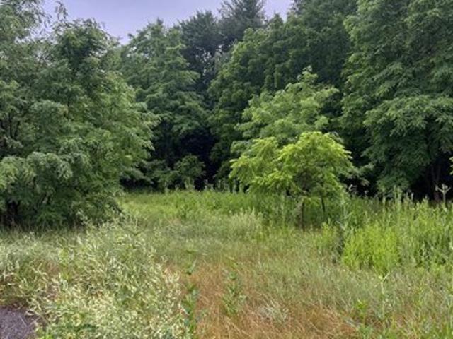 Land for sale in Milroy, Pennsylvania
