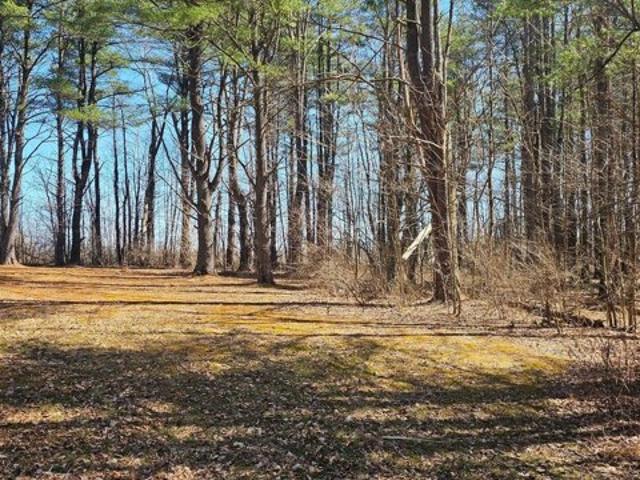 Land for sale in Milroy