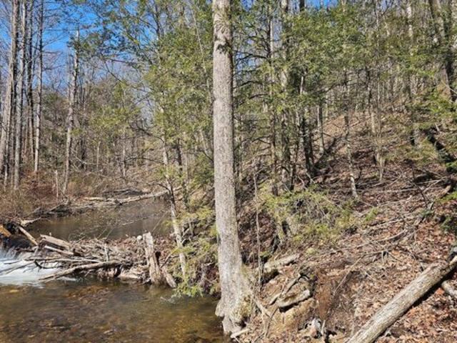Land for sale in Milroy Land for sale in Milroy