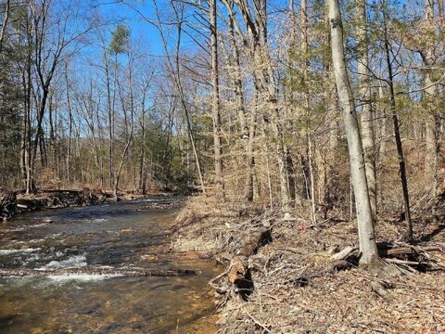 Land for sale in Milroy