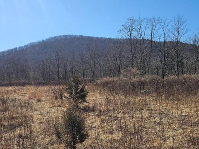 Land for sale in Milroy