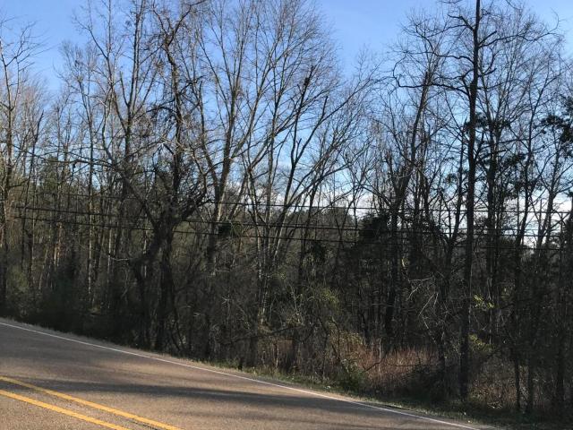 Land for sale in Clinton, Mississippi