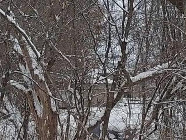 House for sale in Minnesota