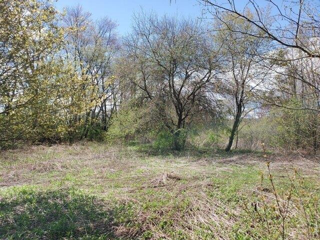 Land for sale in North Brookfield, Massachusetts