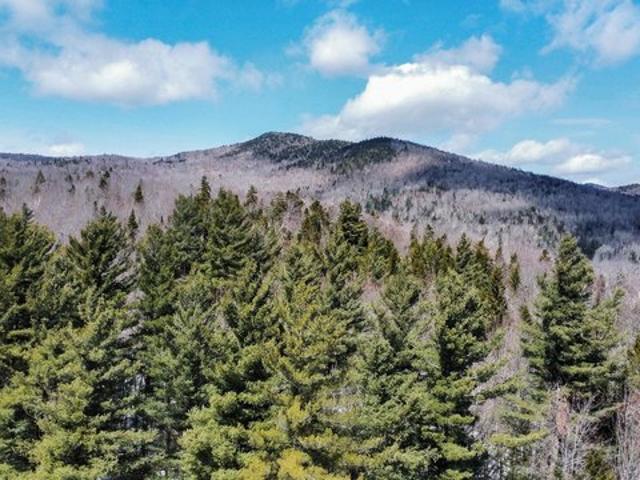 Land for sale in Roxbury, Vermont