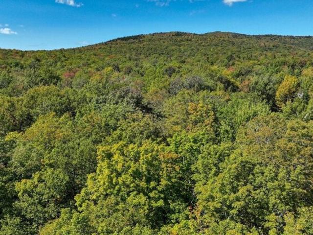 Land for sale in Ludlow, Vermont