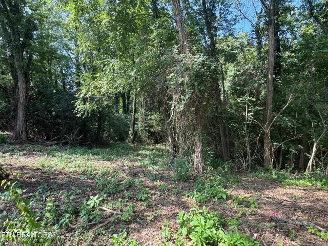 Land for sale in Tennessee