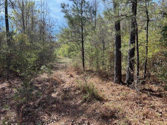 Land for sale in Harrison, Texas