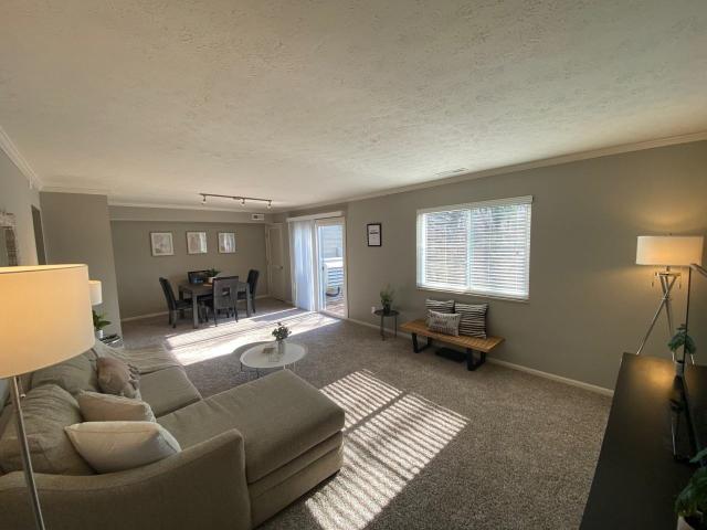Apartment for rent in Roselawn, Ohio