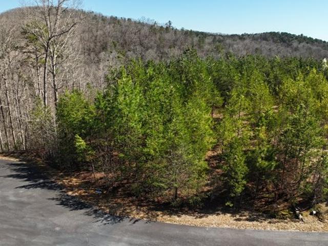 Land for sale in Demorest, Georgia