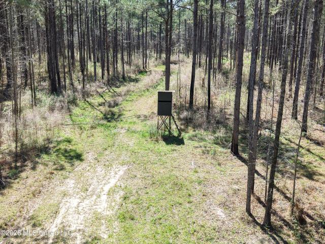 Land for sale in Meadville, Mississippi