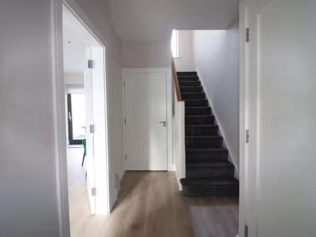 House to rent