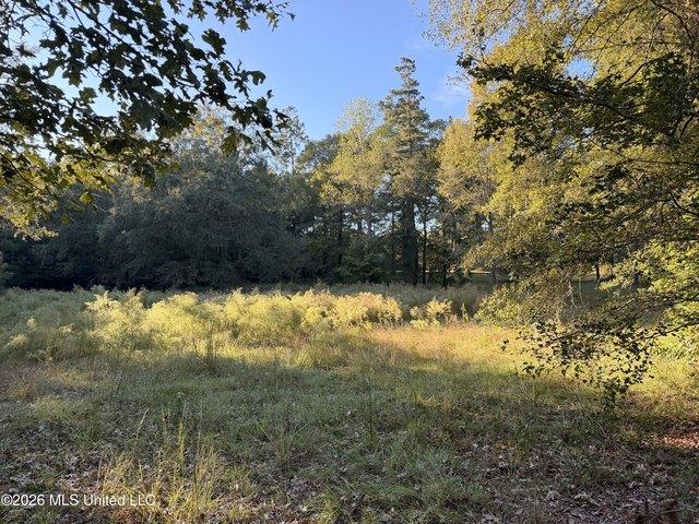 Land for sale in Summit, Pike County