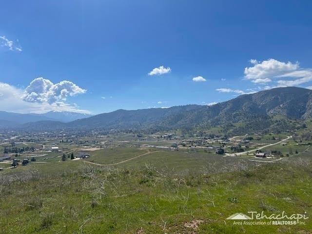 Land for sale in Tehachapi, California