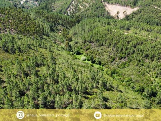 Terreno venda em Grovelas São João Evangelista, Viana Do Castelo