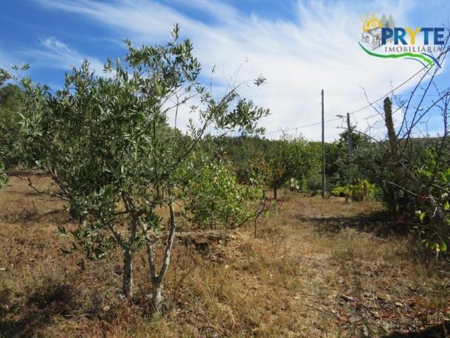 Terreno venda em Grovelas São João Evangelista, Viana Do Castelo