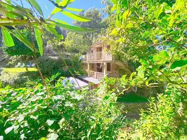 Appartement vente à Calvi, Oletta