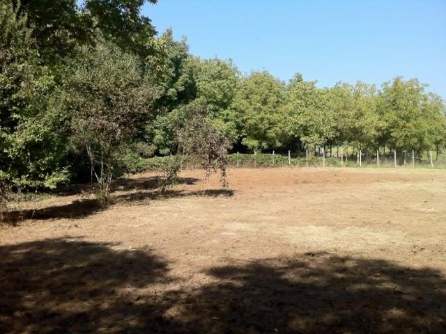 Terreno in vendita a Roma Capitale, Lazio