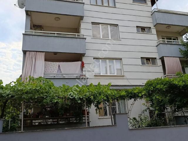 Alemler, Karacasu içerisinde satılık mülk