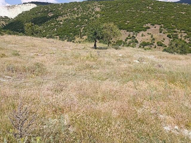 Karacasu, Aydin içerisinde satılık Arsa