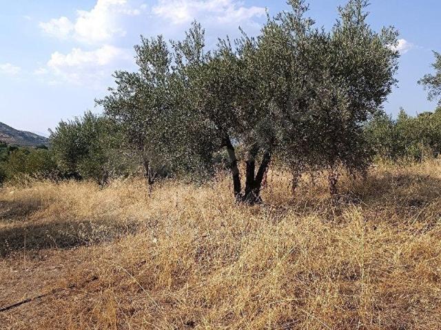Bahçeköy, Karacasu içerisinde satılık mülk