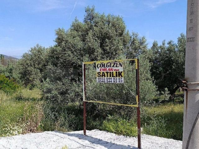 Yenice, Karacasu içerisinde satılık Arsa