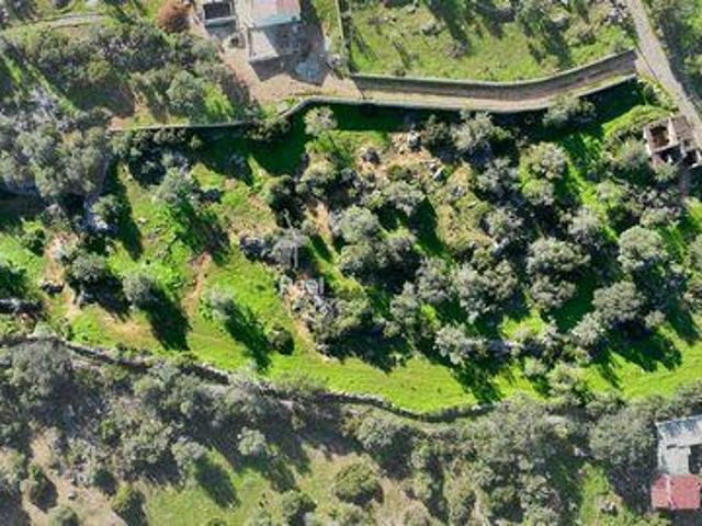 Terreno venda em São Brás De Alportel, Faro