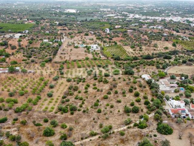 Terreno venda em Olhão, Faro