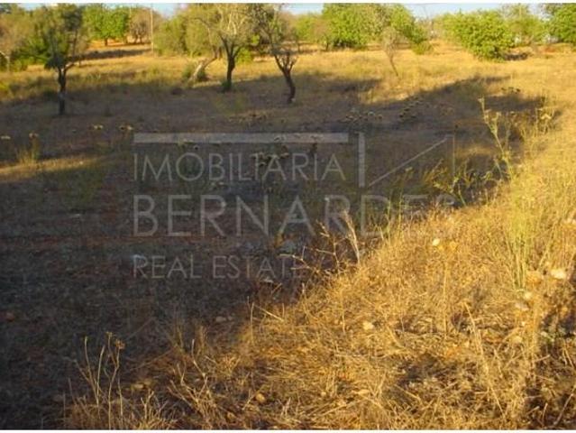Terreno venda em Olhão, Faro