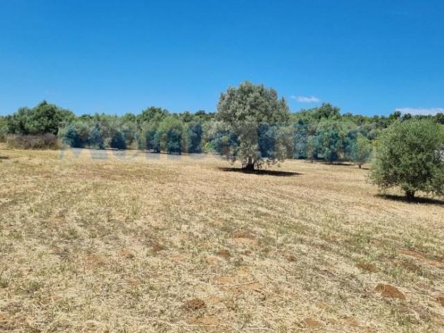 Terreno venda em Poço da Areia, Olhão