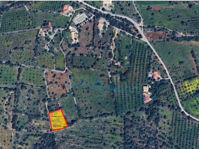 Terreno venda em Olhão, Faro
