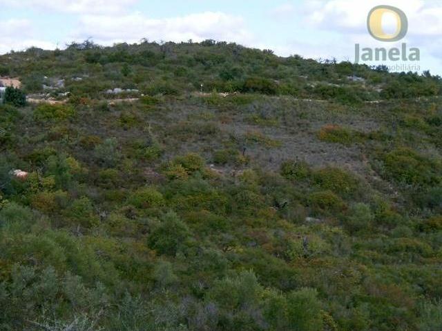 Terreno venda em Olhão, Faro