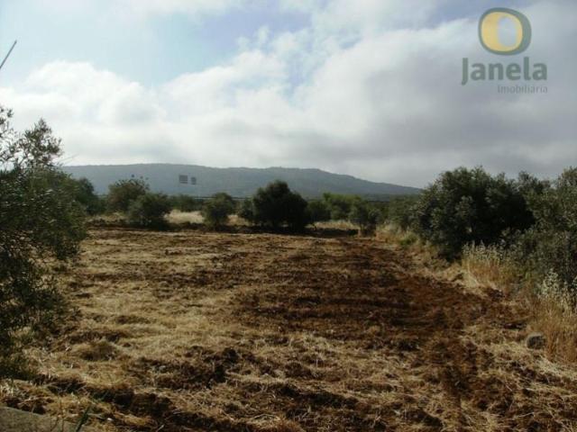 Terreno venda em Olhão, Faro