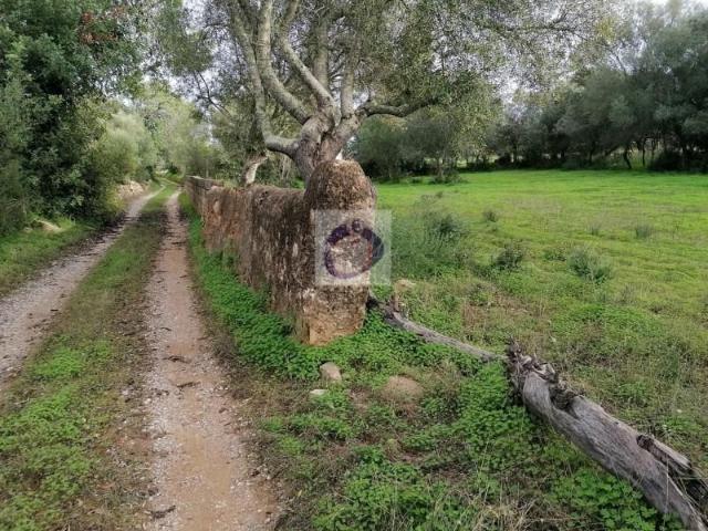 Terreno venda em Olhão, Faro