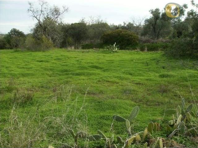 Terreno venda em Olhão, Faro