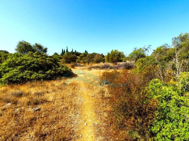Terreno venda em Olhão, Faro