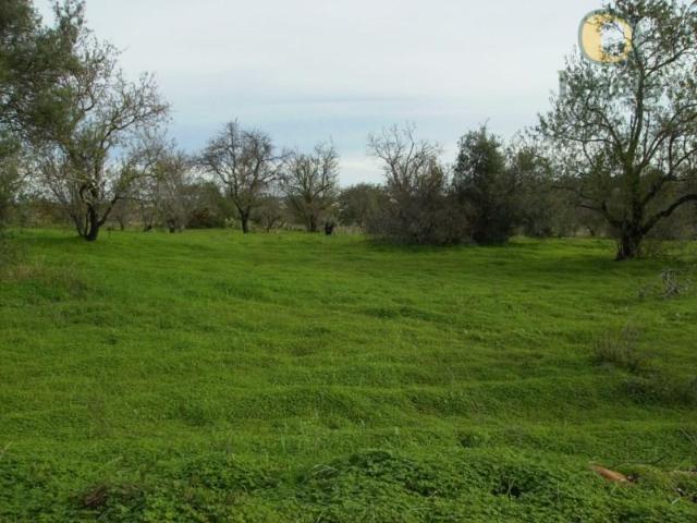 Terreno venda em Olhão, Faro