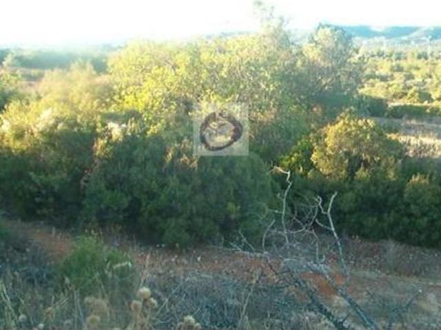 Terreno venda em Olhão, Faro