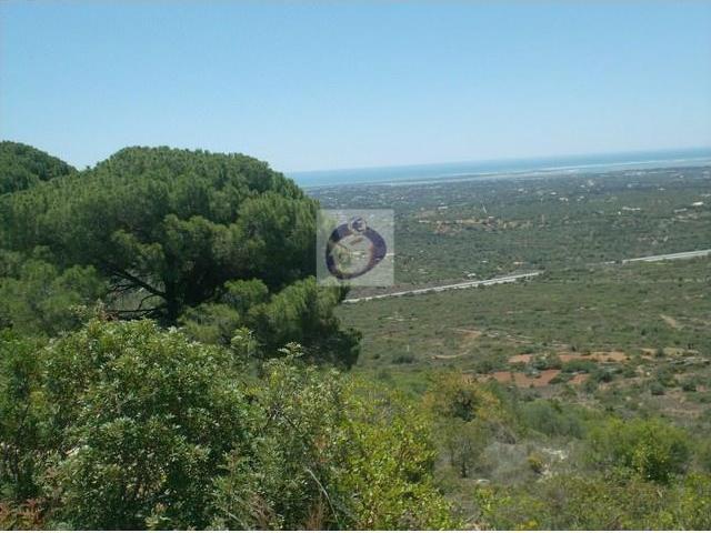 Terreno venda em Olhão, Faro