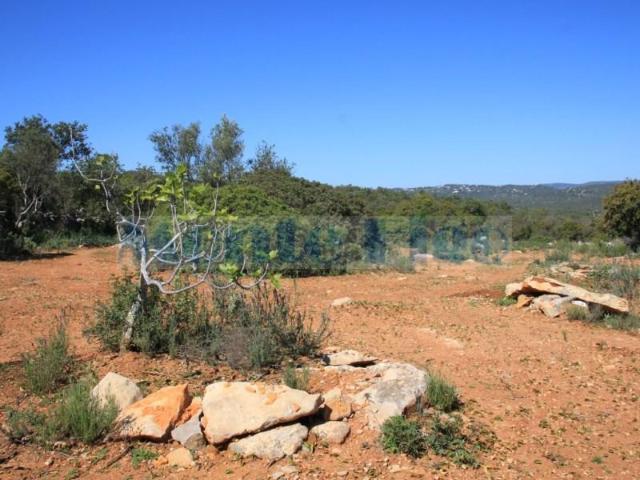 Terreno venda em Olhão, Faro