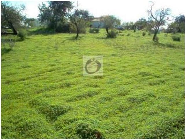 Terreno venda em Olhão, Faro