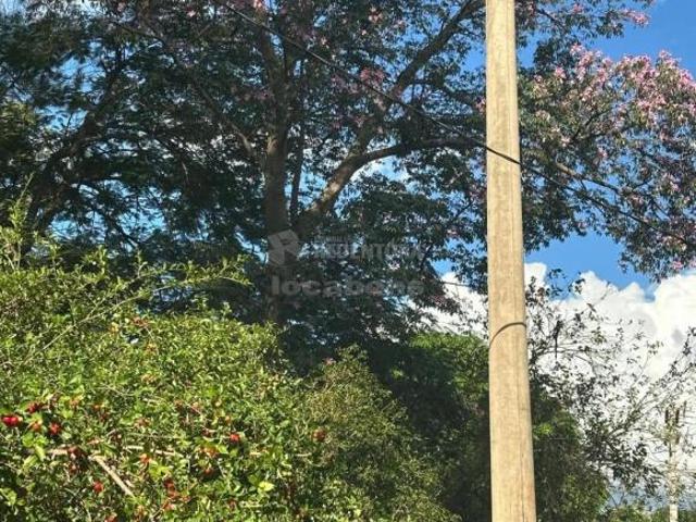 Sitio venda em Olímpia, Ribeiro dos Santos