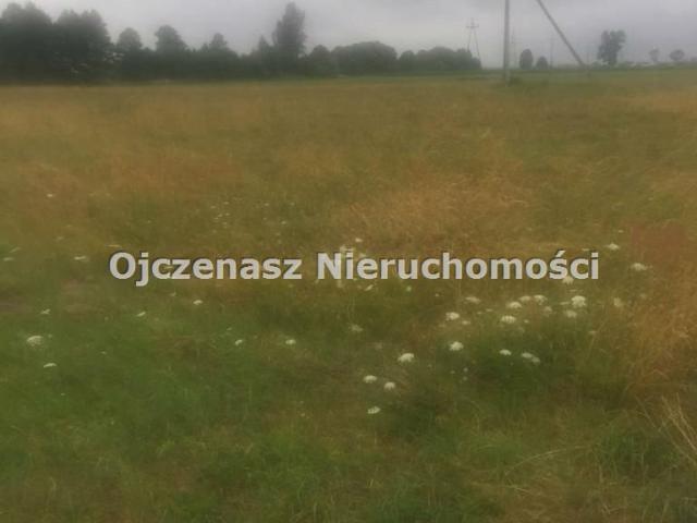 Grunt na sprzedaż w Olimpin, Kujawsko-pomorskie