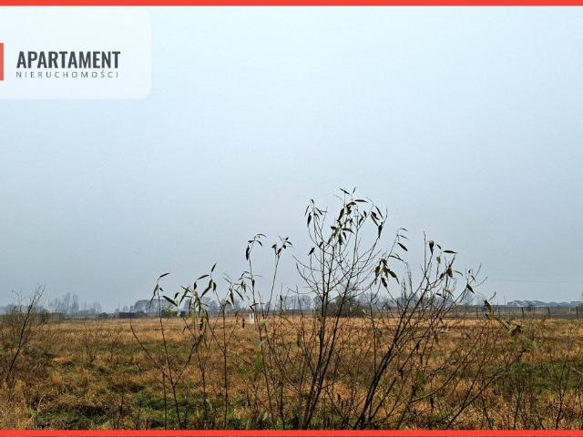 Grunt na sprzedaż w Olimpin, Kujawsko-pomorskie