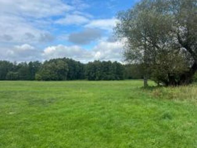 Grunt na sprzedaż w Olimpin, Kujawsko-pomorskie