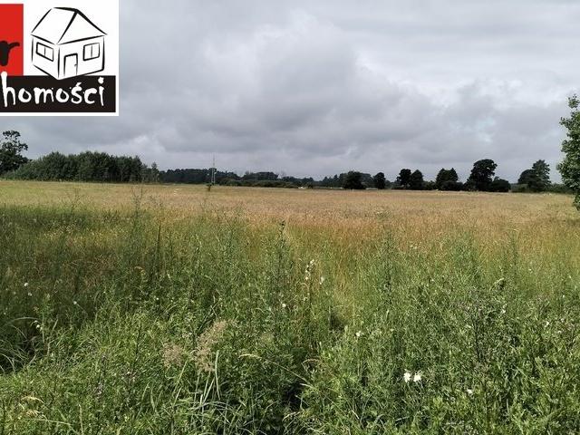 Grunt na sprzedaż w Olimpin, Kujawsko-pomorskie