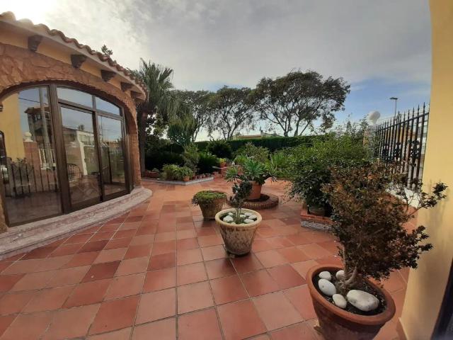 Apartamento en alquiler en Urbanització Platja d'Oliva, la Safor