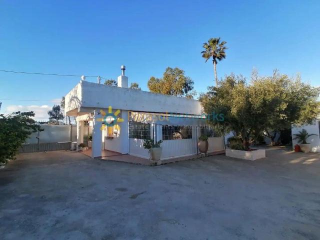 Apartamento en alquiler en Urbanització Platja d'Oliva, la Safor