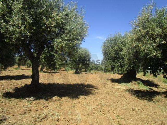 Terreno venda em Lamas, Bragança