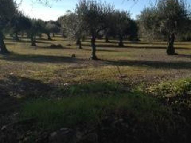 Terreno venda em Elvas, Portalegre